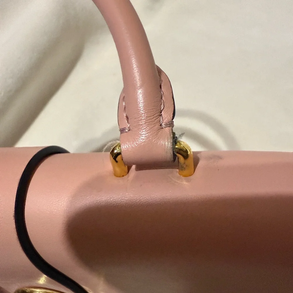 Louis Vuitton Pink and Brown Mini Bag - Picture 5 of 14